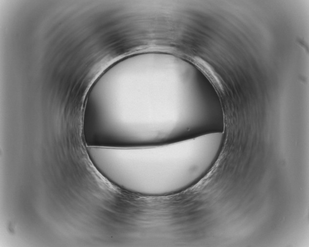 X0000095511244200712140927