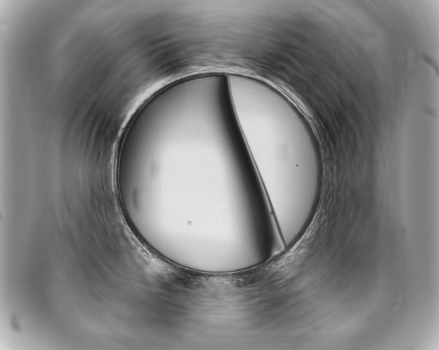 X0000095511246200712140927