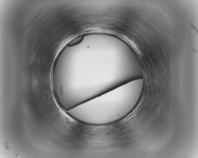 X0000095511247200712140927