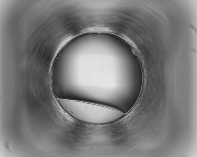 X0000095511248200712140927