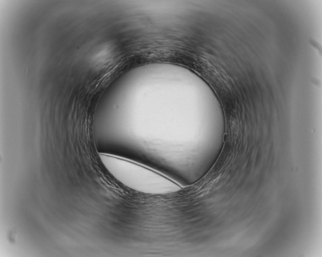 X0000095511250200712140927