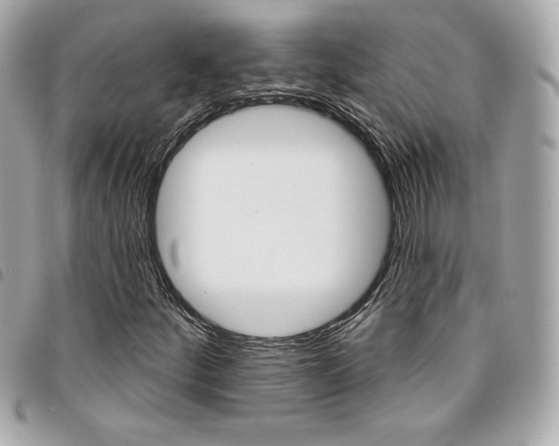 X0000095511252200712140927