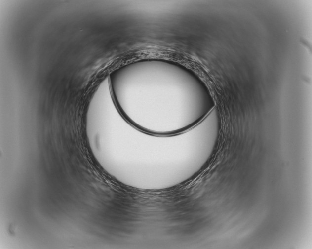 X0000095511253200712140927
