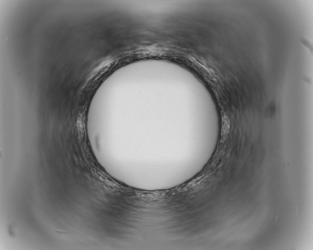 X0000095511254200712140927