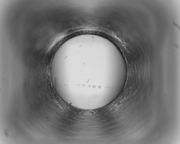 X0000095511255200712140927