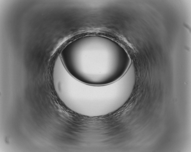 X0000095511256200712140927