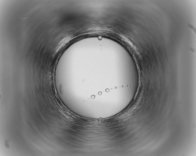 X0000095511259200712140927