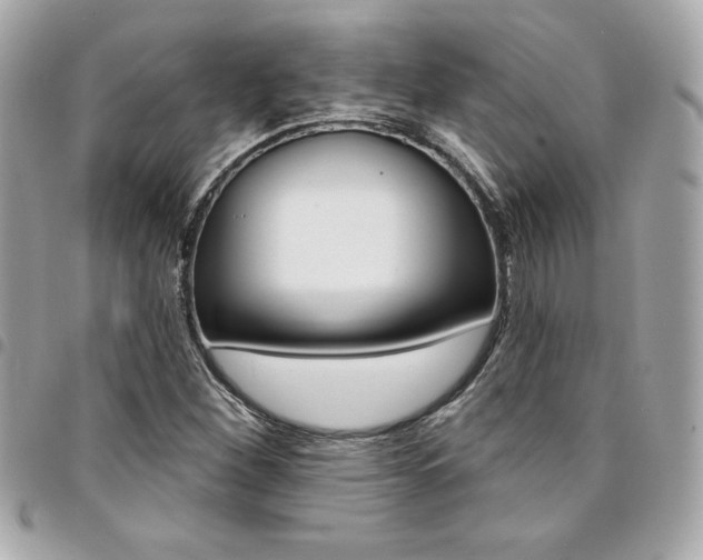 X0000095511260200712140927