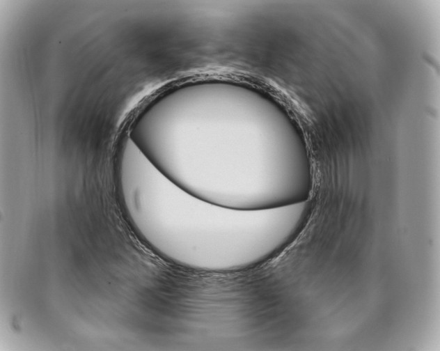 X0000095511262200712140926