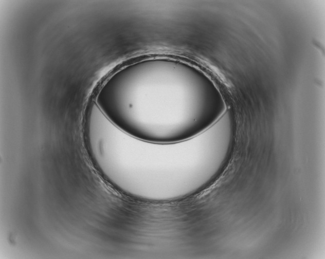 X0000095511264200712140926