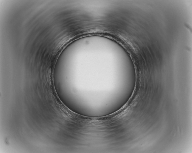 X0000095511265200712140926
