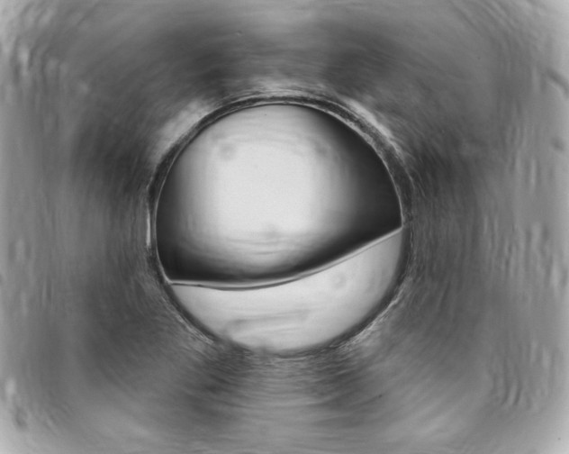 X0000095511269200712140926