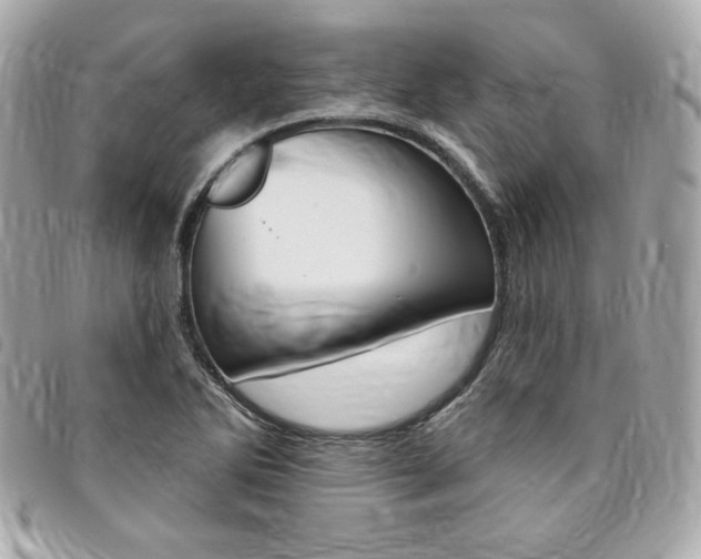 X0000095511270200712140926
