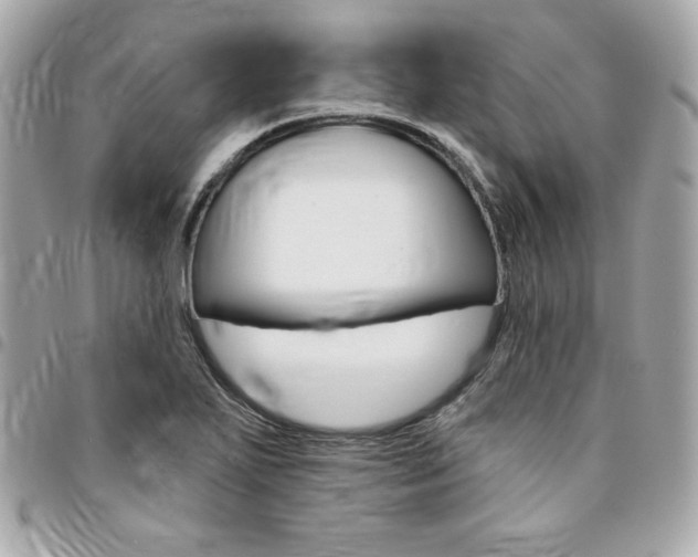 X0000095511271200712140926