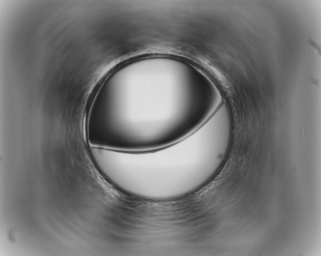 X0000095511272200712140926