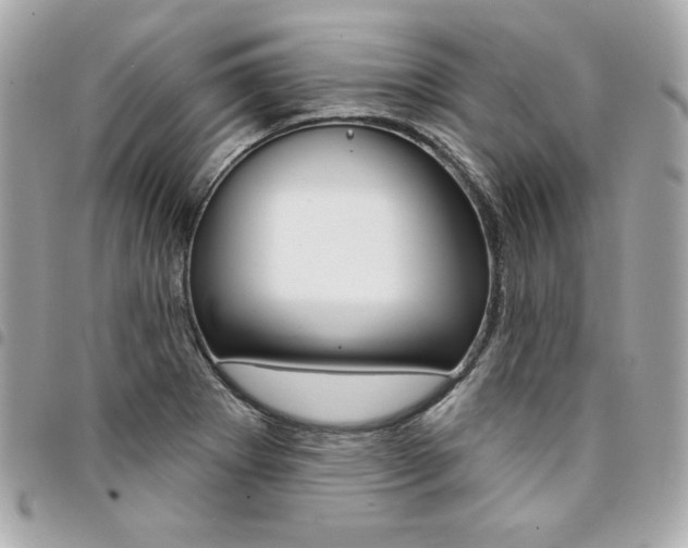 X0000095511273200712140926