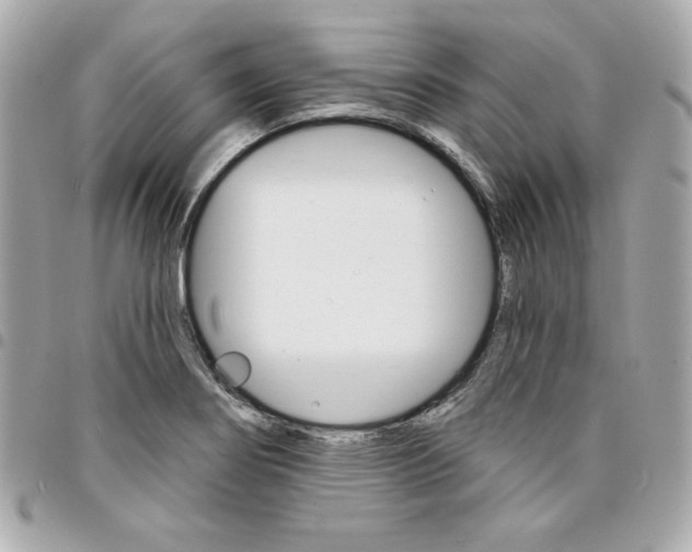 X0000095511274200712140926