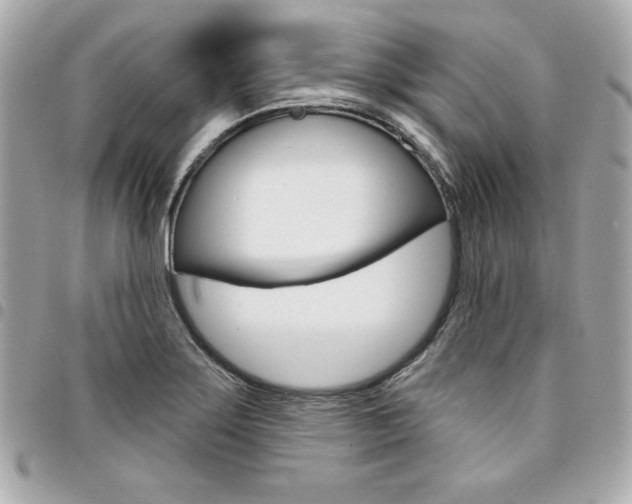 X0000095511275200712140926