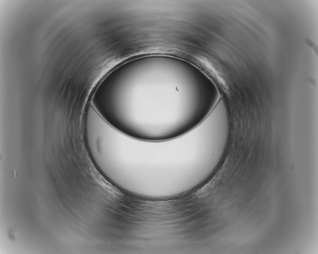 X0000095511276200712140926