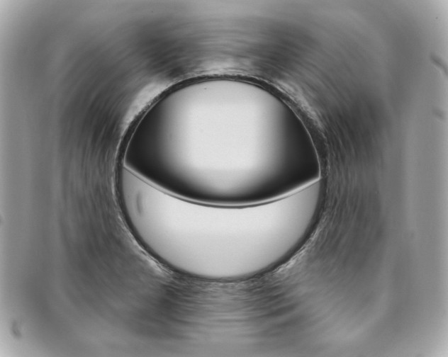 X0000095511277200712140926