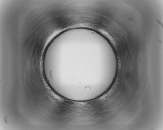 X0000095511278200712140926