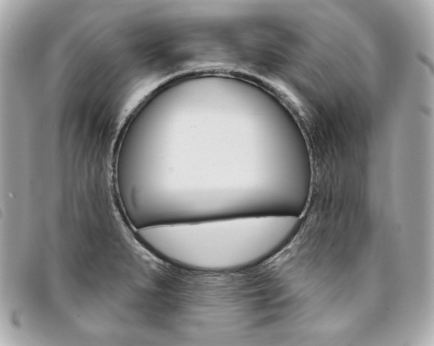 X0000095511279200712140926