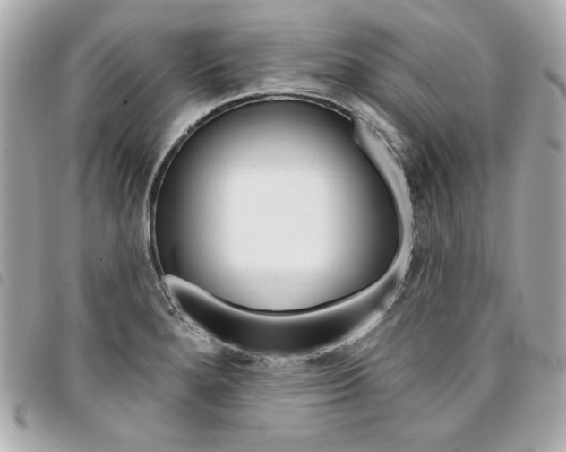 X0000095511280200712140926