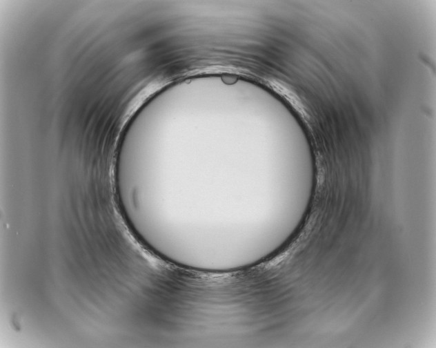 X0000095511282200712140926
