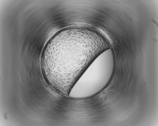 X0000095511283200712140926