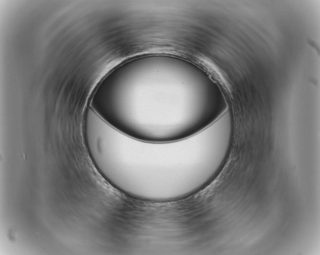 X0000095511284200712140926
