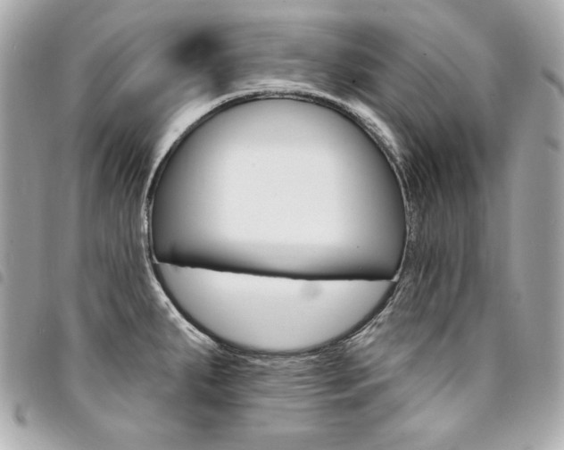 X0000095511287200712140926
