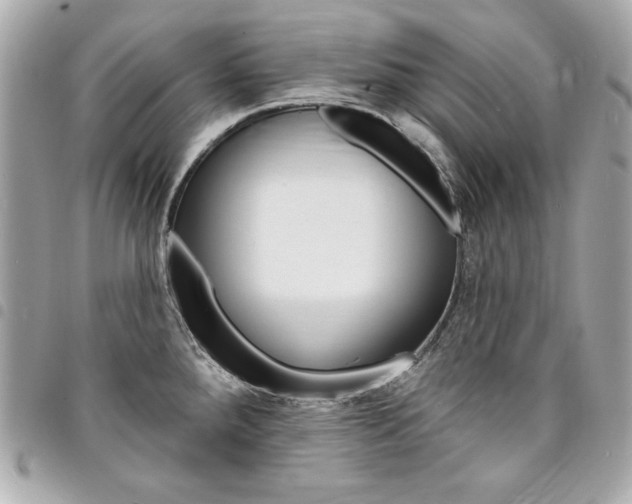 X0000095511288200712140926