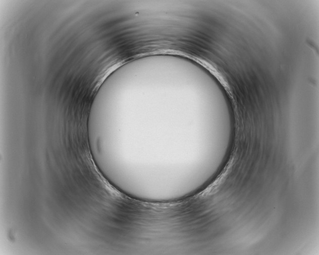 X0000095511289200712140926