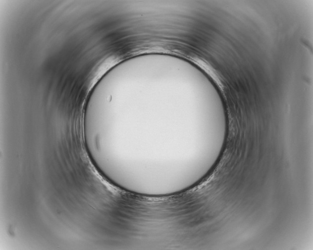 X0000095511290200712140926