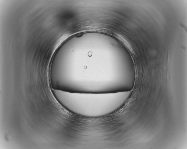 X0000095511291200712140926