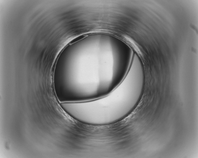 X0000095511292200712140926