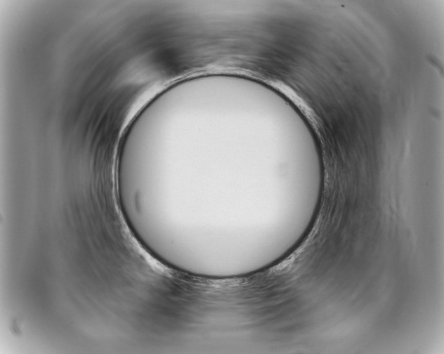X0000095511294200712140926