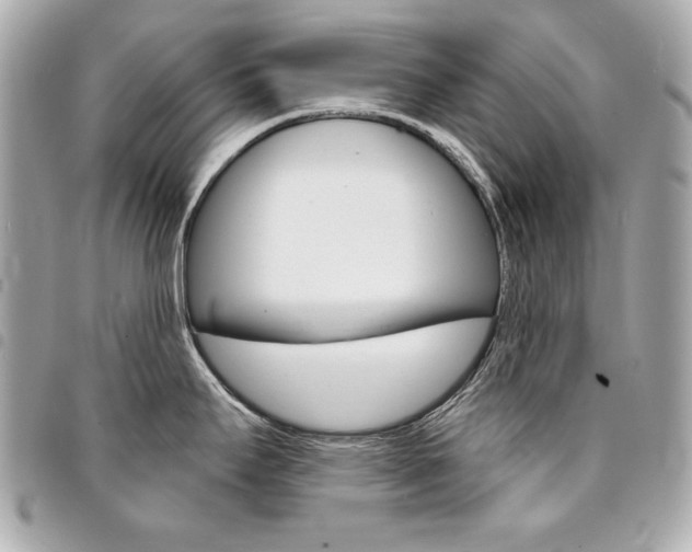 X0000095511295200712140926