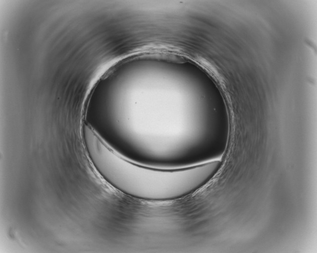 X0000095511296200712140926