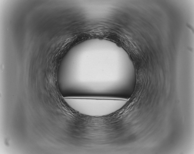 X0000095511297200712140925