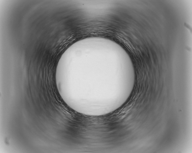 X0000095511298200712140925
