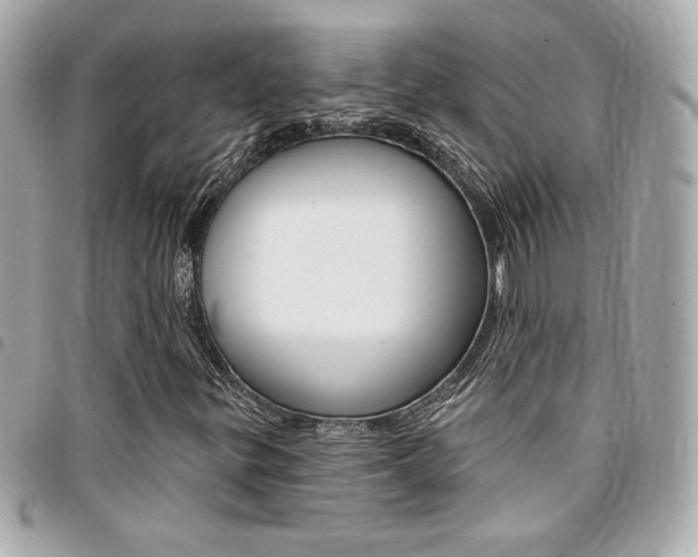 X0000095511299200712140925