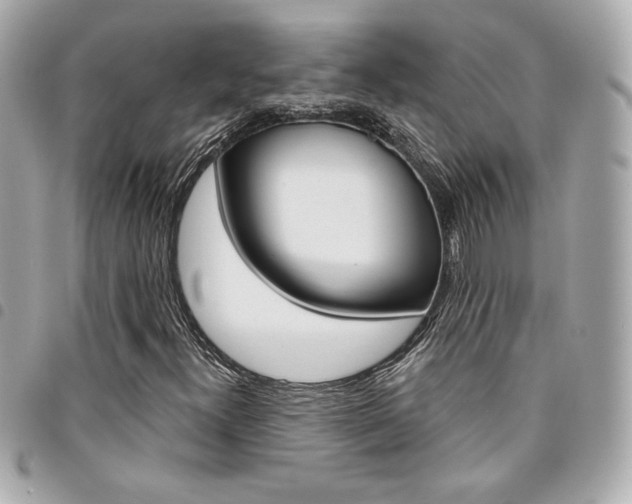 X0000095511300200712140925