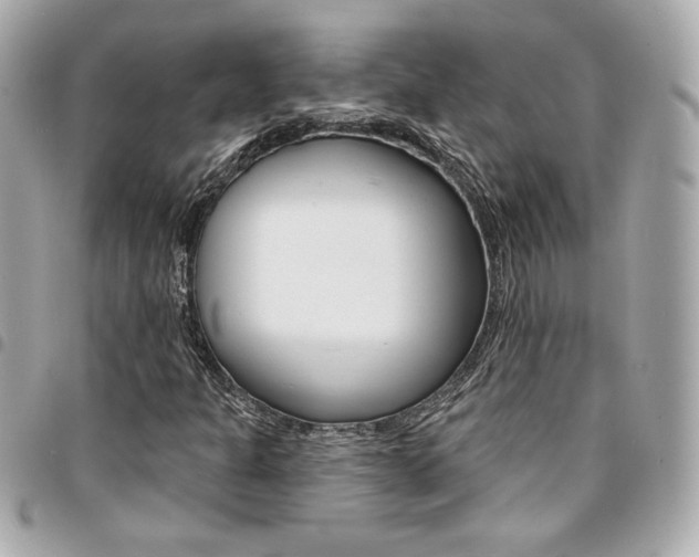 X0000095511301200712140925