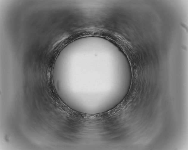 X0000095511302200712140925