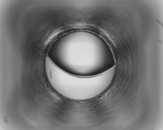 X0000095511304200712140925