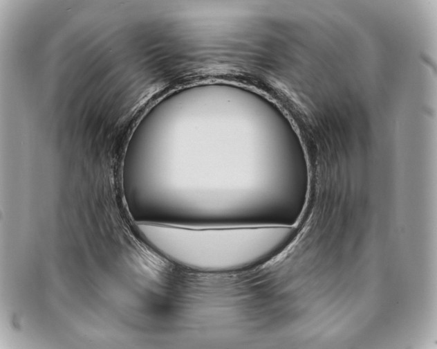 X0000095511305200712140925