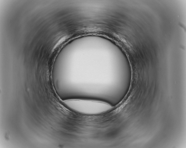 X0000095511306200712140925