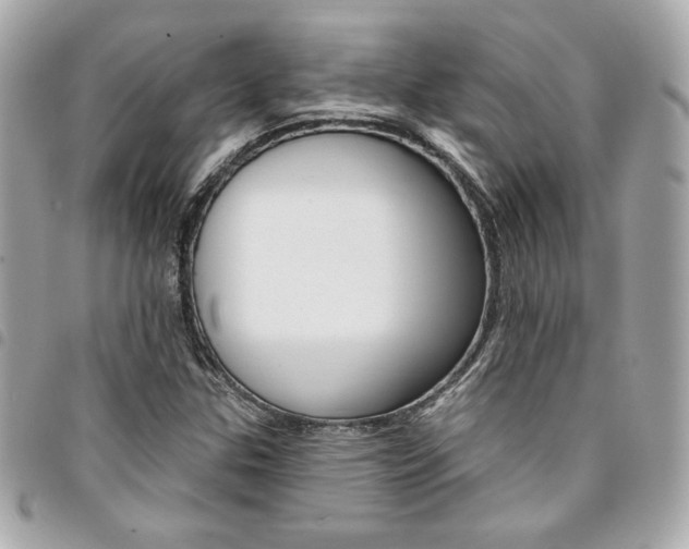 X0000095511307200712140926
