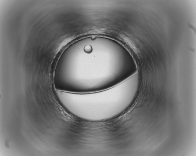 X0000095511308200712140926